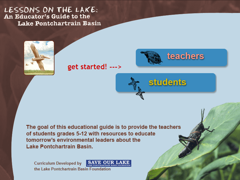 Lake Curriculum