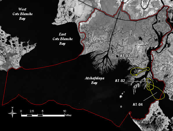 Atchafalaya Basin Projects