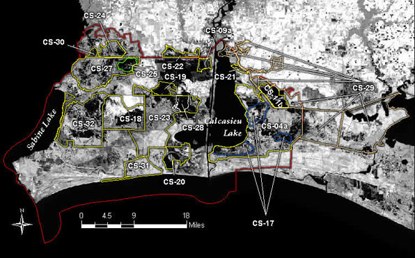 Calcasieu / Sabine Basin Projects