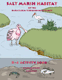 Salt Marsh Activity Book