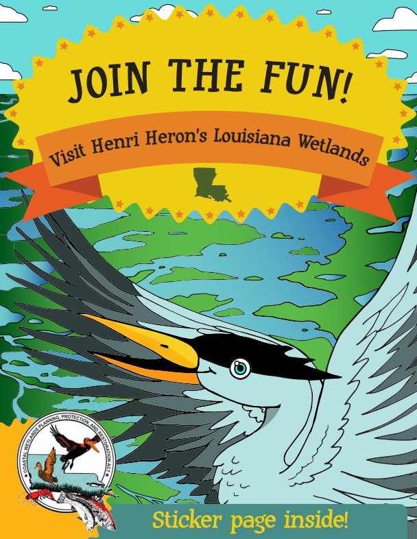 Henri Heron's Louisiana Wetlands