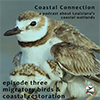 Coastal Connection Episode 3, Migratory Birds & Coastal Restoration