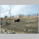 Plaquemines Parish Debris Field and Vehicle