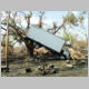 Truck in Tree Plaquemines Parish