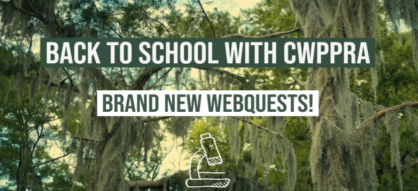 Link to WebQuest Page