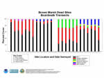Revegetation Graph