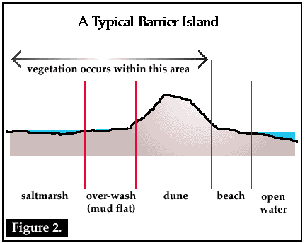 A Typical Barrier Island