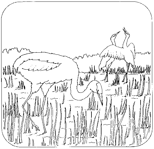 Coloring Book Page