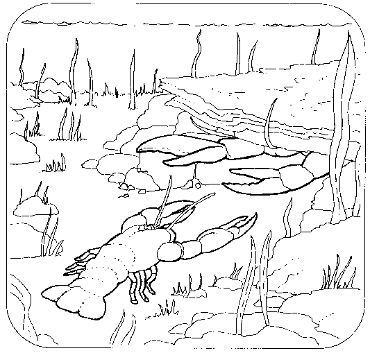 Coloring Book Page