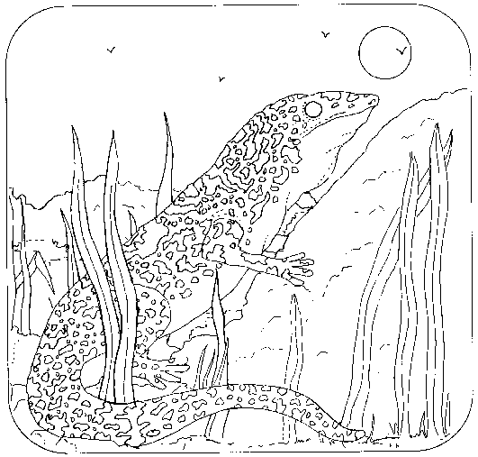 Coloring Book Page