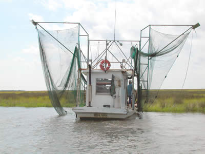 cajun pirogue