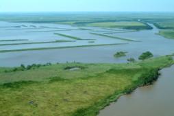 CWPPRA coastal restoration terracing project