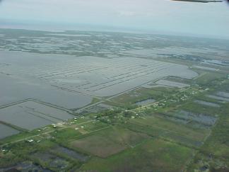CWPPRA coastal restoration terracing project