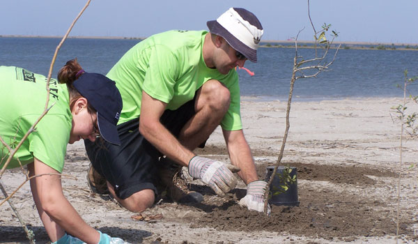 Volunteers Planting Salt Tolerant Woody Species - BTNEP, Shelley Sparks