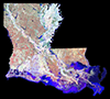 Southeast Louisiana Land Loss Map